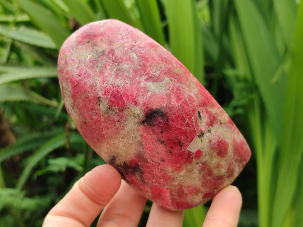 Polished Rhodonite Standing and Free Forms x 3 From Rhusinga, Zimbabwe