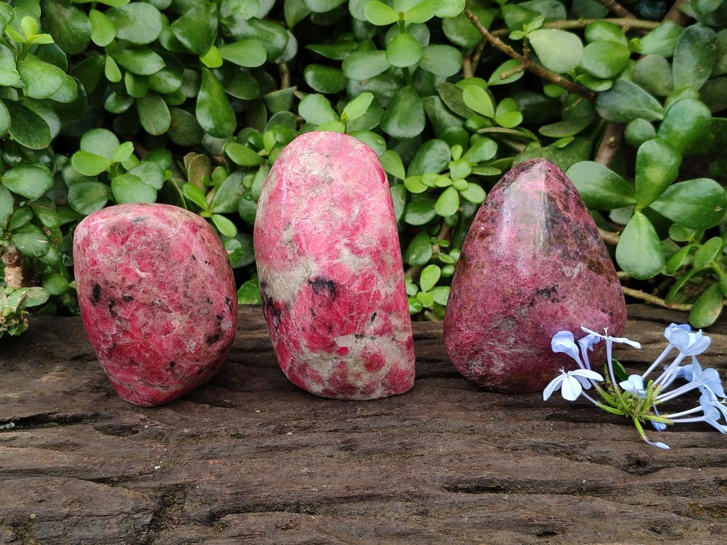 Polished Rhodonite Standing and Free Forms x 3 From Rhusinga, Zimbabwe