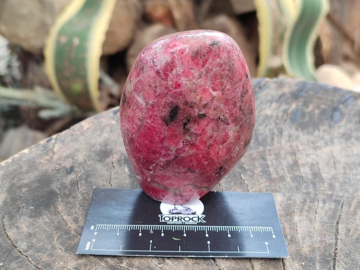 Polished Rhodonite Standing and Free Forms x 3 From Rhusinga, Zimbabwe