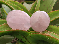 Polished Rose Quartz Palm Stones x 12 From Madagascar