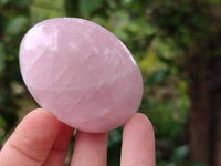 Polished Rose Quartz Palm Stones x 12 From Madagascar