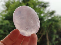 Polished Rose Quartz Palm Stones x 12 From Madagascar
