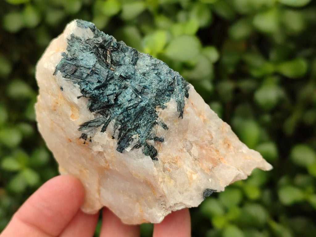 Natural Mix Of Multi Mineral Specimens x 12 From Southern Africa