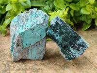 Natural Drusy Coated Chrysocolla with Malachite On Dolomite Specimens x 6 From Lupoto, Congo