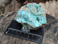 Natural Drusy Coated Chrysocolla with Malachite On Dolomite Specimens x 6 From Lupoto, Congo