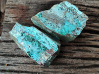 Natural Drusy Coated Chrysocolla with Malachite On Dolomite Specimens x 6 From Lupoto, Congo