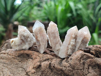 Natural Limonite Fairy Spirit Quartz Fingers x 70 From Boekenhouthoek, South Africa