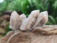 Natural Limonite Fairy Spirit Quartz Fingers x 70 From Boekenhouthoek, South Africa