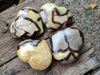 Polished Large Septerye Hearts x 6 From Mahajanga, Madagascar