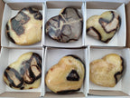 Polished Large Septerye Hearts x 6 From Mahajanga, Madagascar