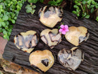 Polished Large Septerye Hearts x 6 From Mahajanga, Madagascar