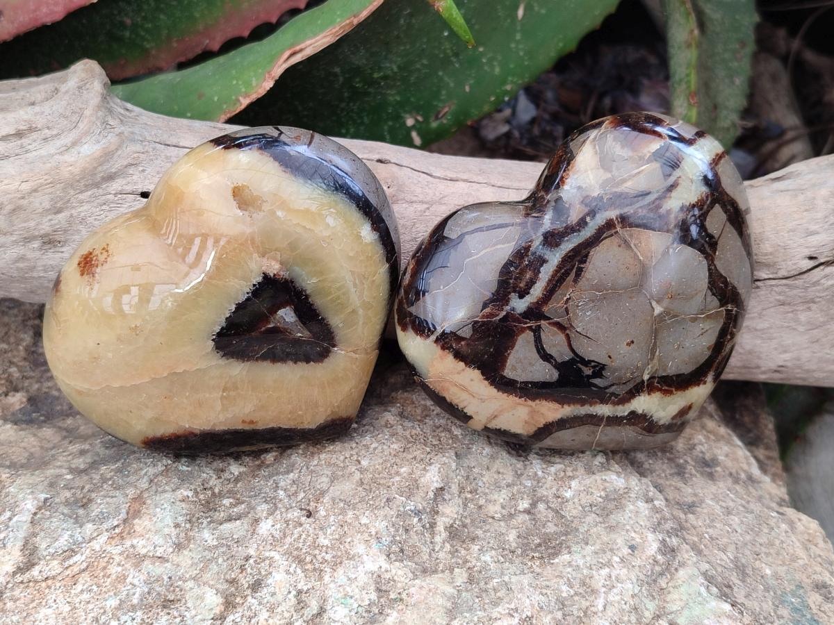 Polished Large Septerye Hearts x 6 From Mahajanga, Madagascar