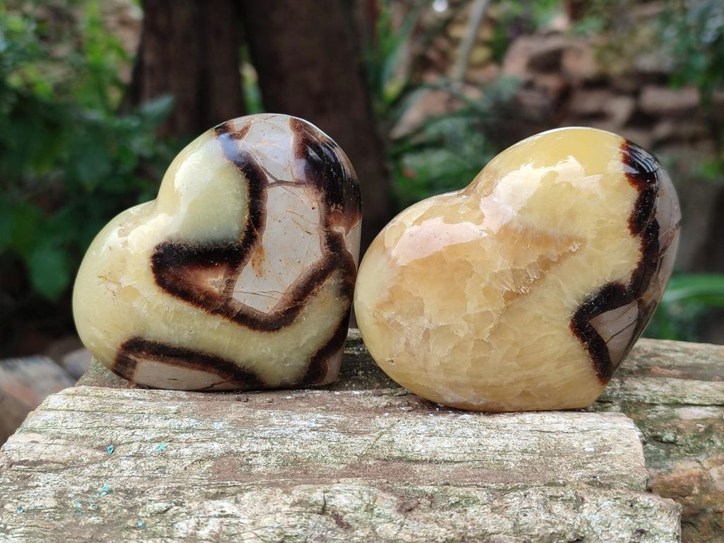 Polished Large Septerye Hearts x 6 From Mahajanga, Madagascar