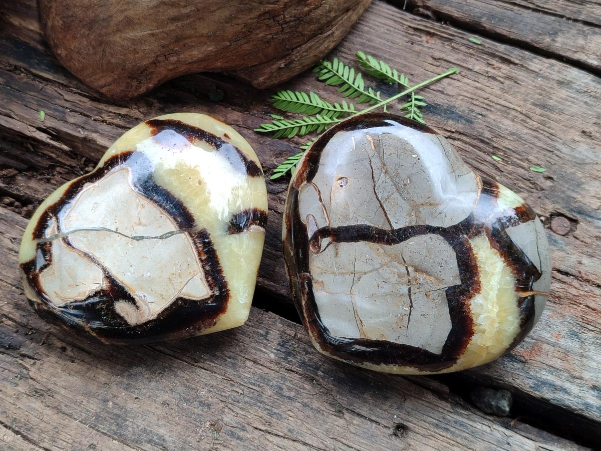 Polished Large Septerye Hearts x 6 From Mahajanga, Madagascar