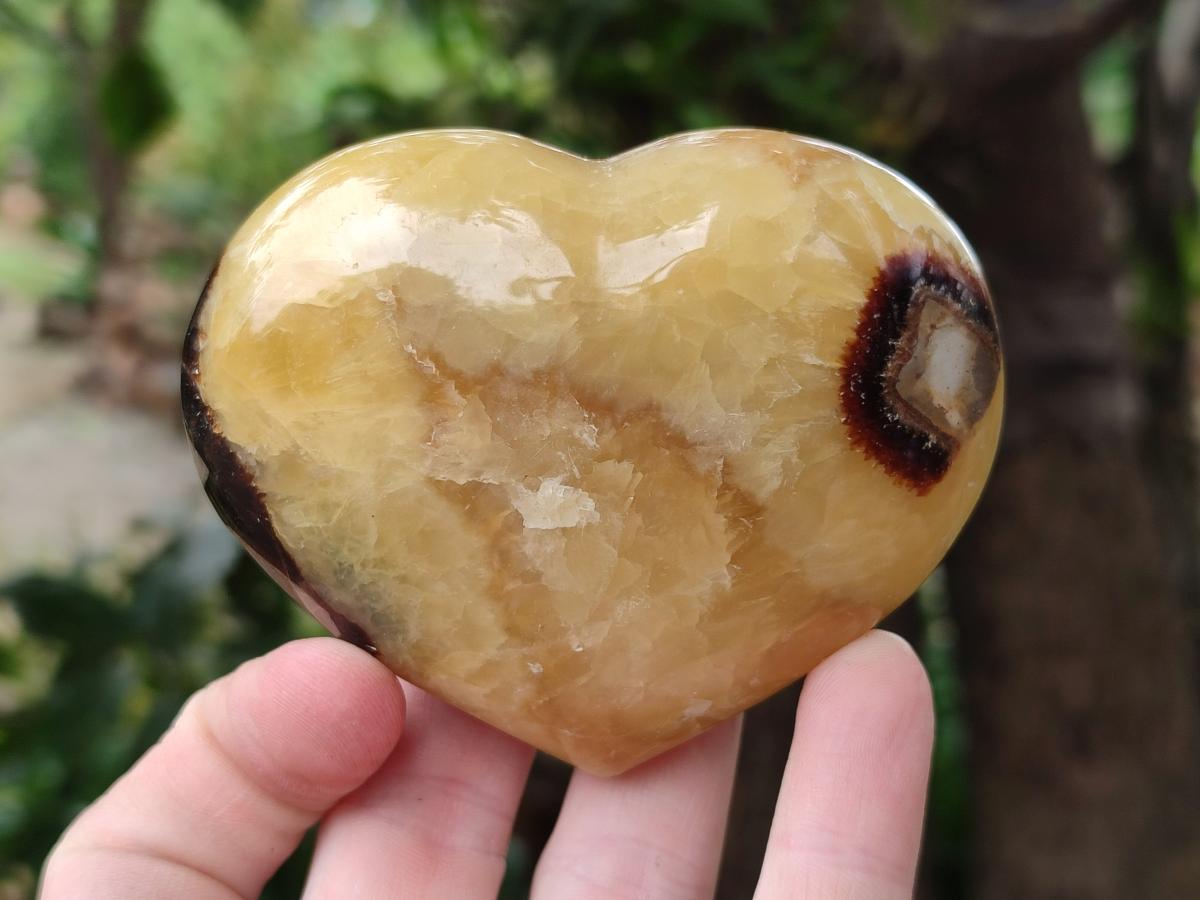 Polished Large Septerye Hearts x 6 From Mahajanga, Madagascar