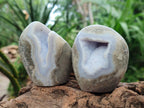Polished Blue Lace Agate Standing Free Forms x 6 From Nsanje, Malawi - Toprock Gemstones and Minerals 