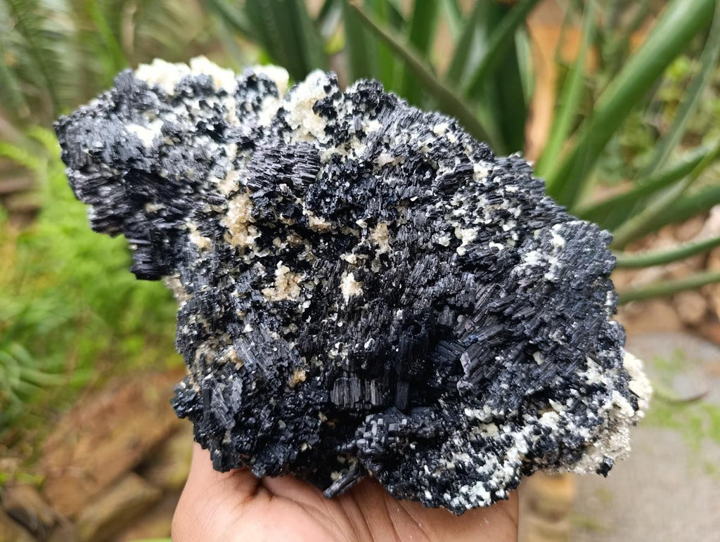 Natural Schorl Black Tourmaline with Vermiculite x 1 From Erongo, Namibia - Toprock Gemstones and Minerals 