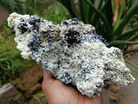 Natural Schorl Black Tourmaline with Vermiculite x 1 From Erongo, Namibia