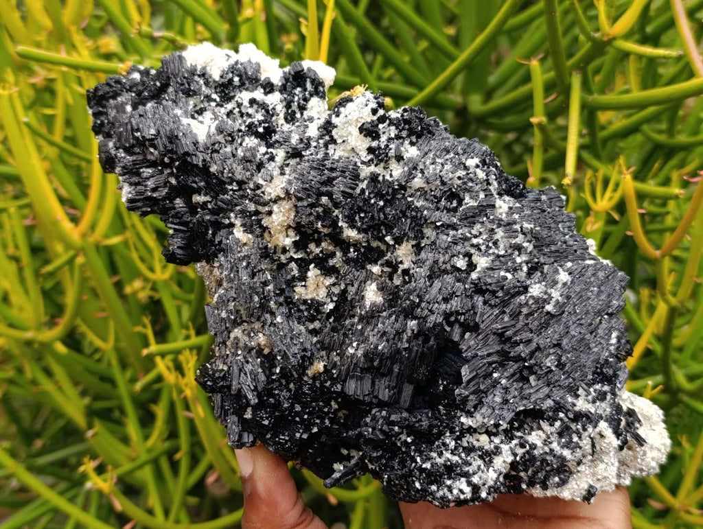 Natural Schorl Black Tourmaline with Vermiculite x 1 From Erongo, Namibia - Toprock Gemstones and Minerals 