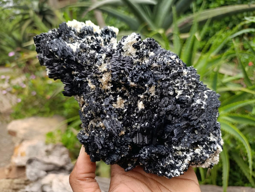 Natural Schorl Black Tourmaline with Vermiculite x 1 From Erongo, Namibia - Toprock Gemstones and Minerals 