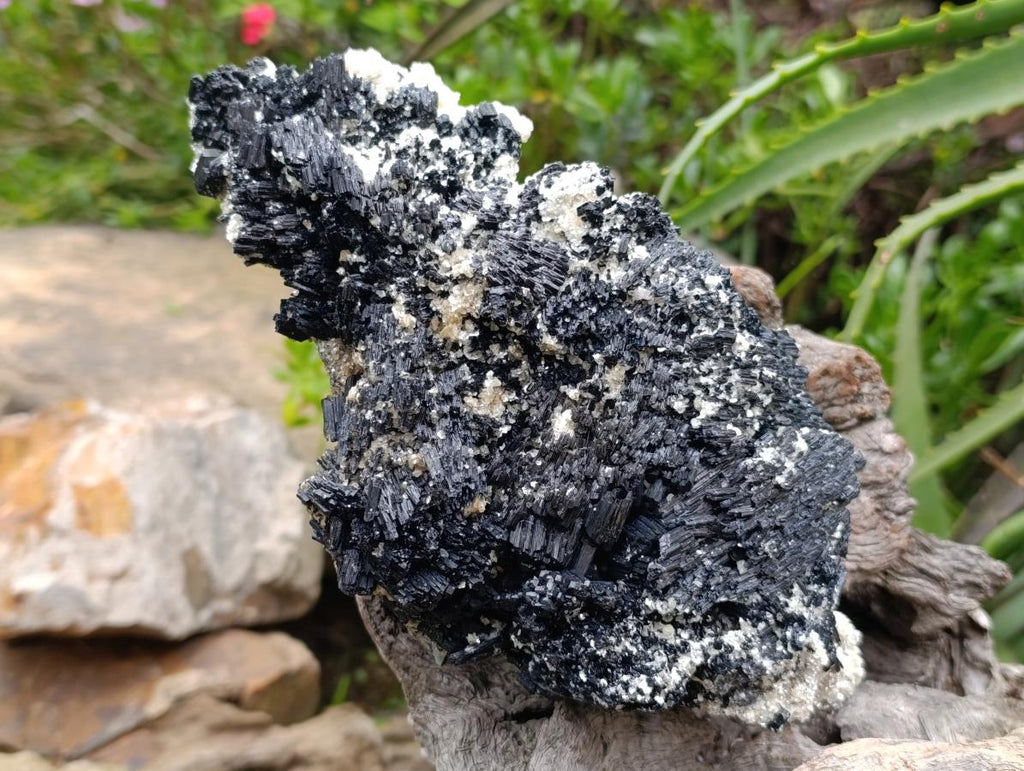 Natural Schorl Black Tourmaline with Vermiculite x 1 From Erongo, Namibia - Toprock Gemstones and Minerals 