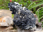Natural Schorl Black Tourmaline with Vermiculite x 1 From Erongo, Namibia - Toprock Gemstones and Minerals 