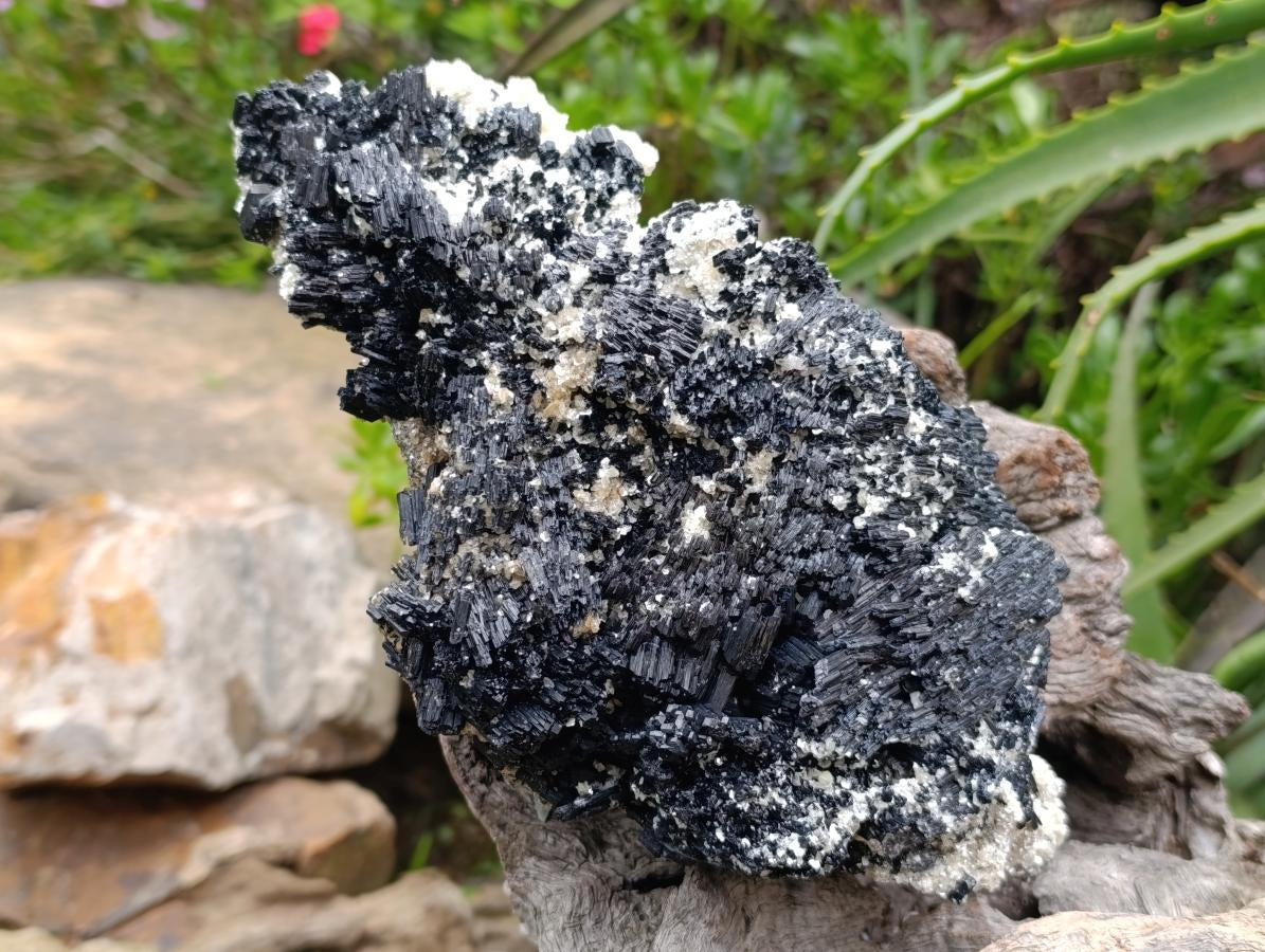 Natural Schorl Black Tourmaline with Vermiculite x 1 From Erongo, Namibia - Toprock Gemstones and Minerals 
