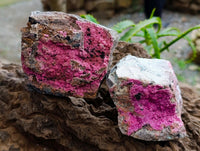 Natural Salrose Cobaltion Dolomite Specimens x 5 From Kakanda, Congo