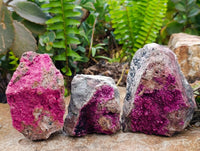 Natural Salrose Cobaltion Dolomite Specimens x 5 From Kakanda, Congo