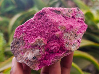 Natural Salrose Cobaltion Dolomite Specimens x 5 From Kakanda, Congo