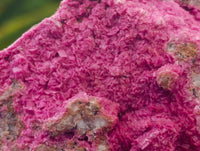 Natural Salrose Cobaltion Dolomite Specimens x 5 From Kakanda, Congo