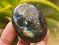 Polished Labradorite Galets x 22 From Tulear, Madagascar