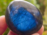 Polished Labradorite Galets x 22 From Tulear, Madagascar