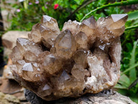 Natural Cascading Smokey Citrine Quartz Cluster x 1 From Luena , Congo