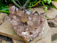 Natural Cascading Smokey Citrine Quartz Cluster x 1 From Luena , Congo
