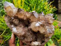 Natural Cascading Smokey Citrine Quartz Cluster x 1 From Luena , Congo