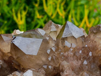 Natural Cascading Smokey Citrine Quartz Cluster x 1 From Luena , Congo