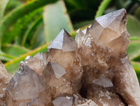 Natural Cascading Smokey Citrine Quartz Cluster x 1 From Luena , Congo