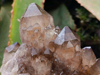 Natural Cascading Smokey Citrine Quartz Cluster x 1 From Luena , Congo