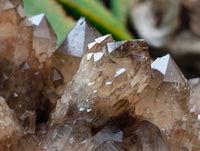 Natural Cascading Smokey Citrine Quartz Cluster x 1 From Luena , Congo