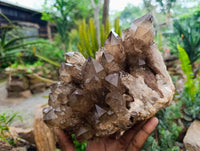 Natural Cascading Smokey Citrine Quartz Cluster x 1 From Luena , Congo