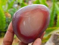 Polished Red Shashe River Agate Free Forms x 6 From Shashe River, Zimbabwe