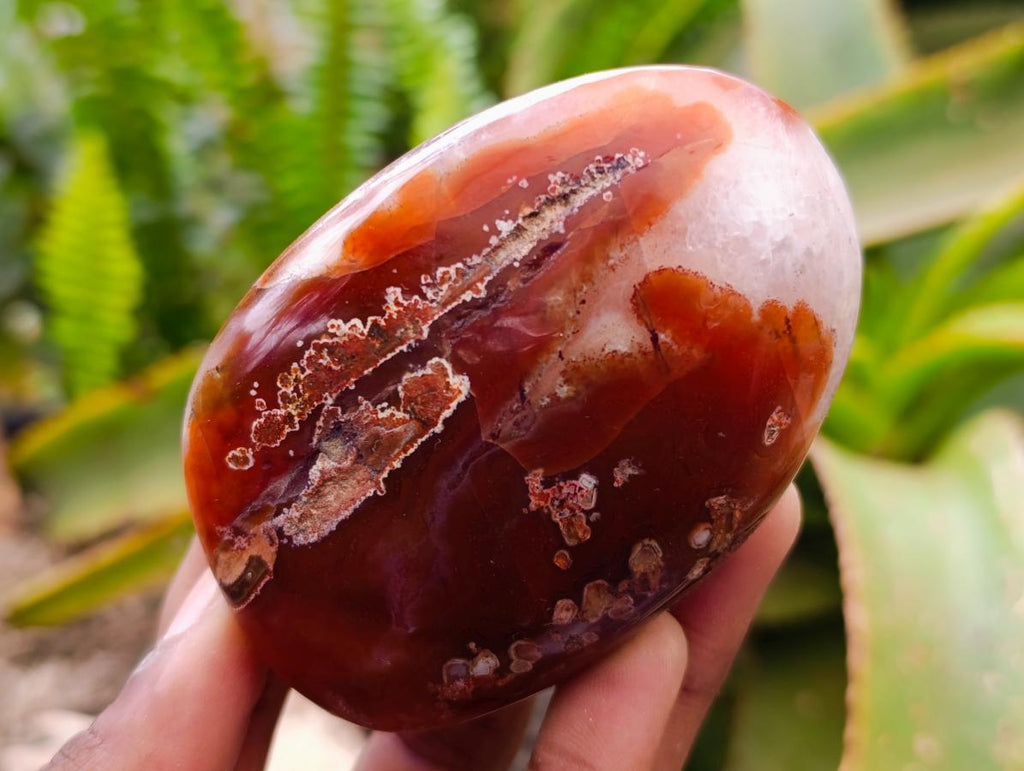 Polished Red Shashe River Agate Free Forms x 6 From Shashe River, Zimbabwe