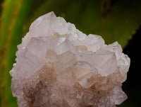 Natural Mixed Spirit Clusters x 12 From Boekenhouthoek, South Africa