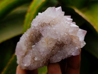 Natural Mixed Spirit Clusters x 12 From Boekenhouthoek, South Africa