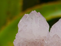 Natural Mixed Spirit Clusters x 12 From Boekenhouthoek, South Africa