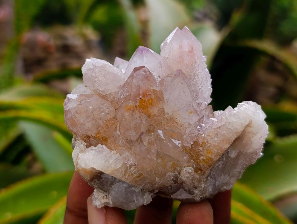 Natural Mixed Spirit Clusters x 12 From Boekenhouthoek, South Africa