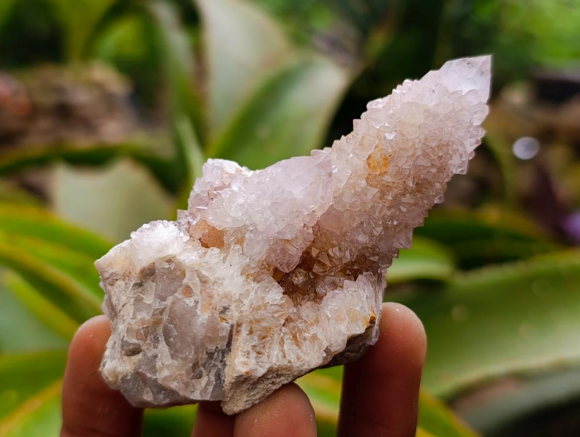 Natural Mixed Spirit Clusters x 12 From Boekenhouthoek, South Africa