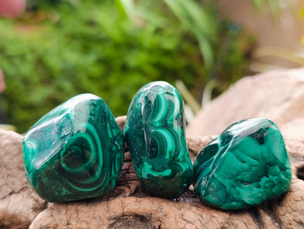 Polished Flower Banded Malachite Free Forms x 20 From Congo - Toprock Gemstones and Minerals 
