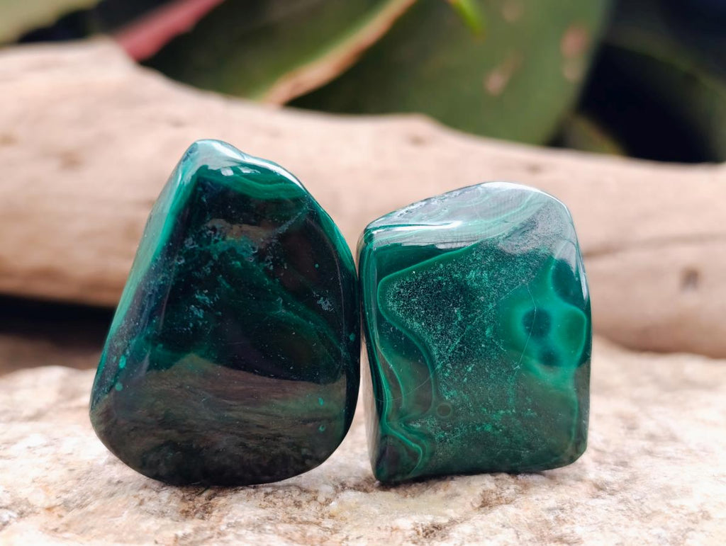 Polished Flower Banded Malachite Free Forms x 20 From Congo - Toprock Gemstones and Minerals 